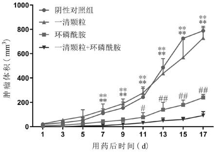 一清颗粒与环磷酰胺联合用药在抗肿瘤治疗药物中的应用