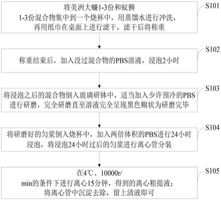 一种具有纤溶活性昆虫提取液、制备方法及应用与流程