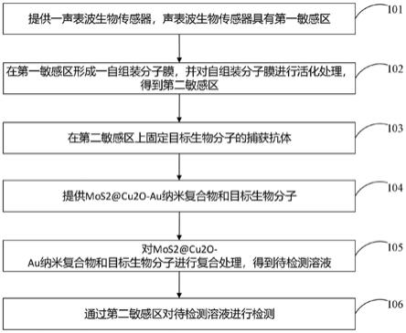 前列腺特异性抗原的检测方法