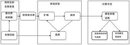 优化生物序列理化性质的由计算机实现的方法与流程