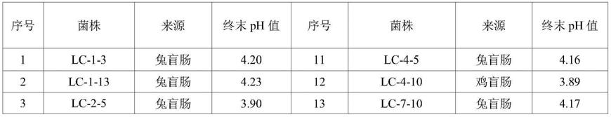 一株改善肉鸡生产性能和免疫水平的乳酸片球菌及其筛选方法与应用与流程