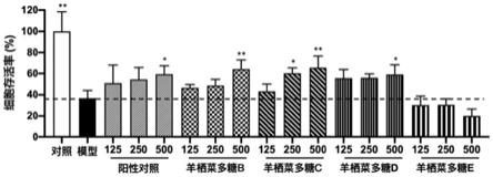 一种具有显著抗光老化活性的羊栖菜多糖及其应用