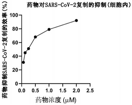 一种小分子化合物在制备治疗新型冠状病毒所致疾病的药物中的应用的制作方法