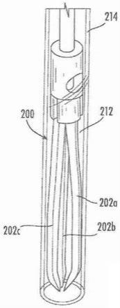 用于将人工腱索锚固在乳头肌或心壁上的装置、系统和方法与流程