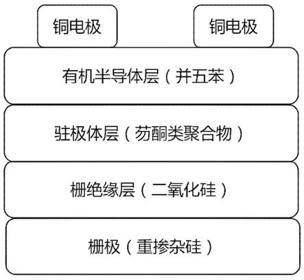 一种基于芴酮类聚合物驻极体的有机场效应晶体管存储器