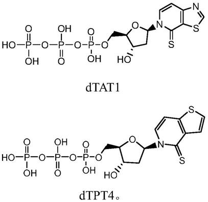 一类非天然碱基三磷酸及其合成方法和应用