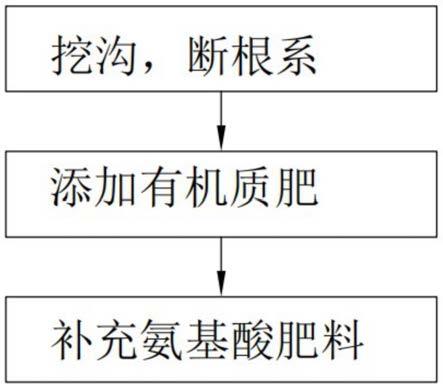 一种农药伤害果树复壮方法与流程