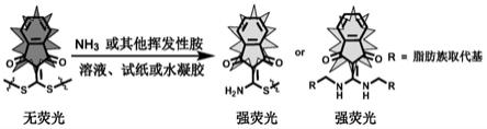 一种具有荧光响应的小分子探针在制备荧光传感器的应用及基于其的荧光传感器