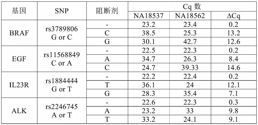 使用重叠非等位基因特异性引物和等位基因特异性阻断剂寡核苷酸进行等位基因特异性扩增