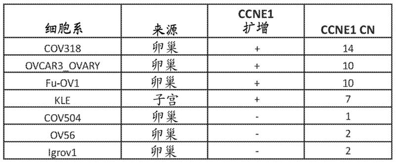 细胞周期素依赖性激酶2生物标记物及其用途的制作方法