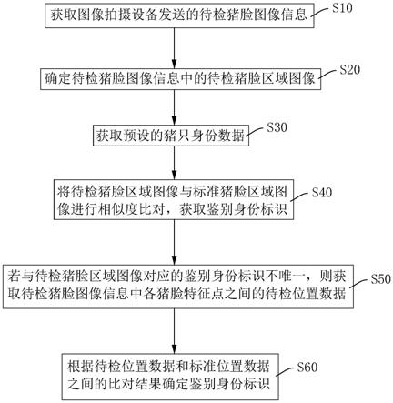 猪脸识别方法、系统、识别设备及存储介质与流程