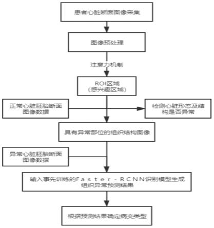 胚胎发育期的心脏断面智能识别和异常判断方法及装置