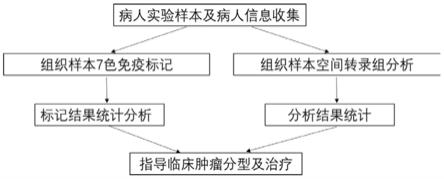 一种人肺癌免疫多标及空间转录组检测组合方法与流程