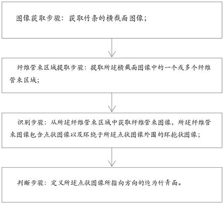 一种通过纤维管束识别竹条青黄面的方法与流程