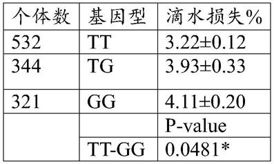 与猪肌肉滴水损失性状关联的SNP分子标记及其应用