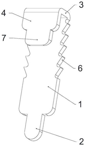 棘齿铆片及采用该棘齿铆片固定电源插座的连接结构的制作方法