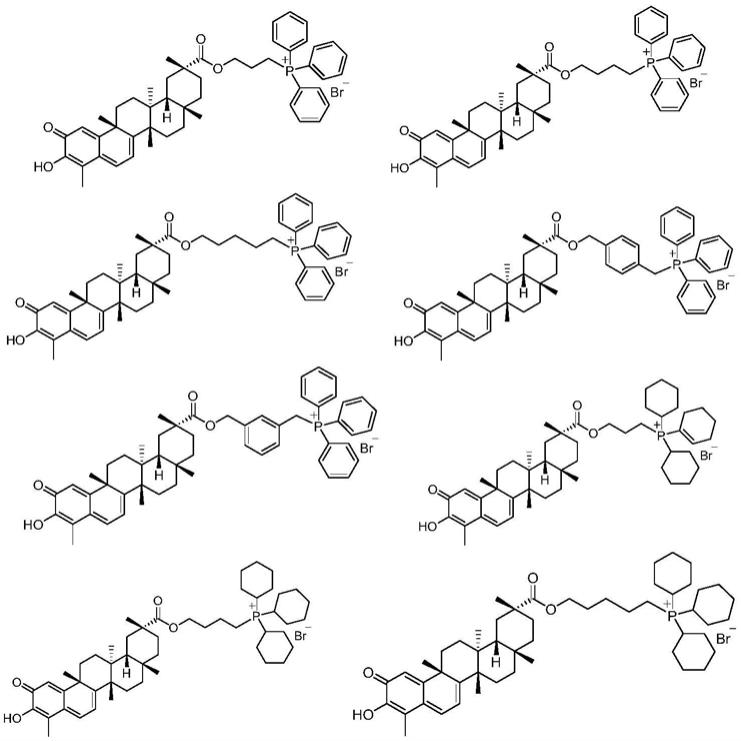 雷公藤红素衍生物及其制备方法与用途