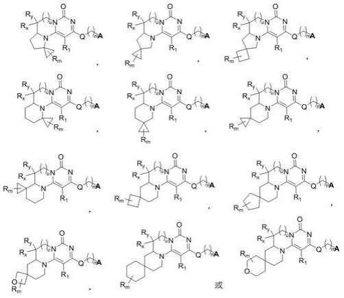 螺环嘧啶酮衍生物、其制备方法、药物组合物和用途与流程