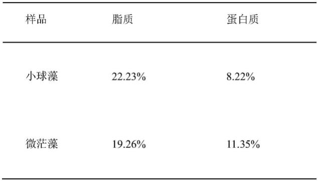 一种利用纳米流体培养微藻的方法和光生物反应装置