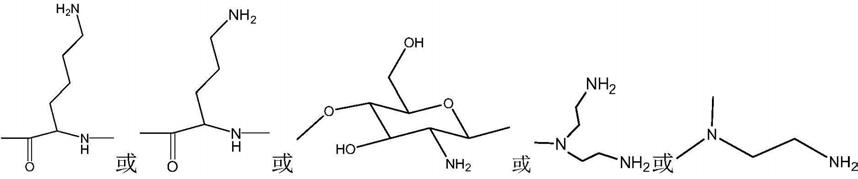 氨基修饰的芯片及其制备方法和应用与流程