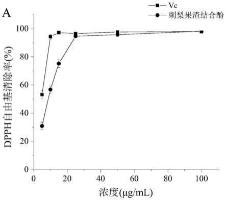 一种具有显著抗氧化活性的刺梨果渣结合酚及其制备方法与应用