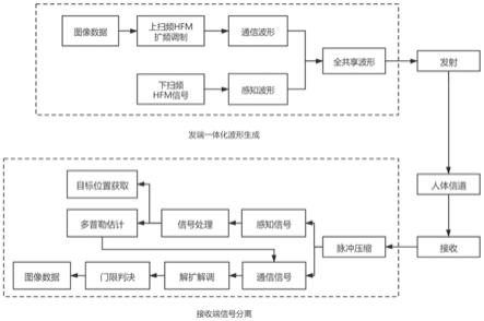 基于双曲调频的胶囊内视镜的通信感知一体化设计方法