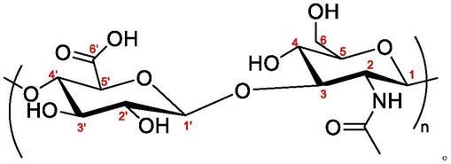 糖磷脂聚合物网络及其用途的制作方法
