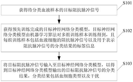 血细胞分类方法及相关设备与流程