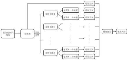 一种基于全局采样子图的宽度学习酶蛋白检测方法及系统