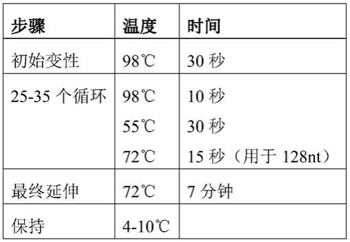 多核苷酸文库的制作方法