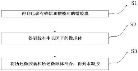 一种用于治疗糖尿病足的水凝胶及其制备方法与流程