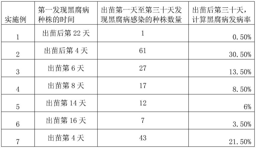 一种甘蓝类蔬菜苗期黑腐病的防治方法