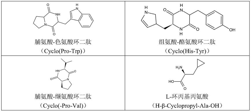 环肽玻璃及含有环肽的药物组合物玻璃