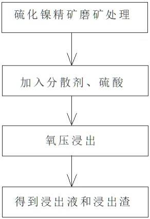 硫化镍精矿温和加压选择性浸出的方法与流程