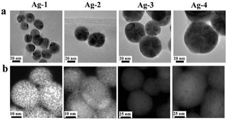 一种制备指定粒径AgNPs颗粒的方法