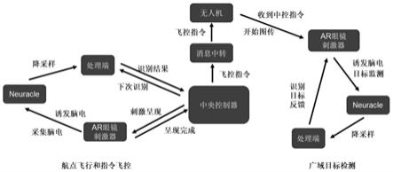 基于脑机接口的无人机控制与广域目标检测系统及方法