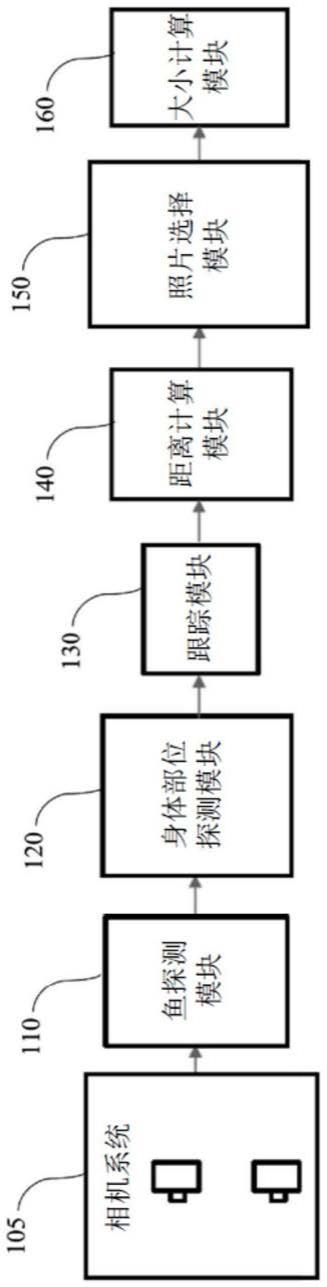 鱼大小计算装置以及鱼大小计算方法与流程