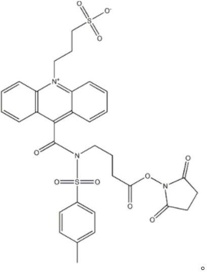 吖啶酯标记复合物和检测试剂盒的制作方法