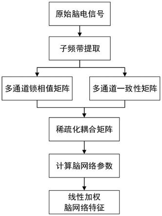 多通道高频脑电波耦合的脑网络参数特征提取方法及装置