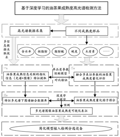 基于深度学习的油茶果成熟度高光谱检测方法及分选设备