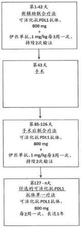 可活化抗PDL1抗体和抗CTLA-4抗体在用于治疗癌症的新辅助联合疗法中的用途的制作方法