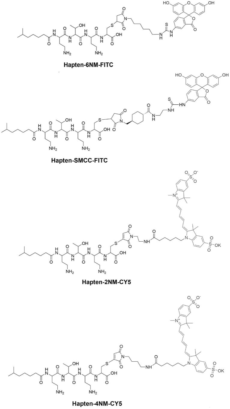 用于检测多粘菌素的荧光偏振免疫分析方法