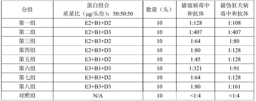 猪瘟、猪伪狂犬病毒二联亚单位疫苗及其制备方法与流程