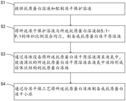 抗原蛋白冻干小球及其制备方法与流程