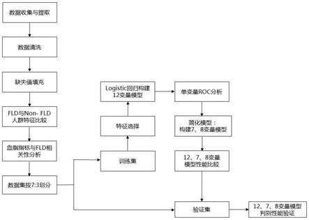 基于常规体检指标的成人脂肪肝风险判别模型及判别方法