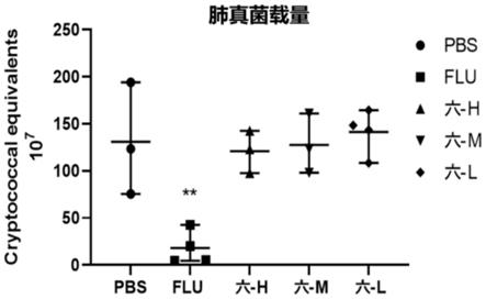 六神丸在制备治疗真菌性肺炎的药物中的应用的制作方法