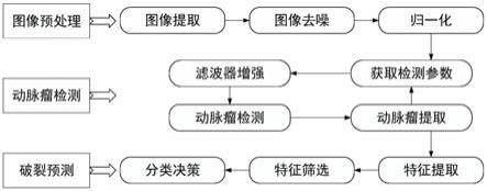 数字减影血管造影中的动脉瘤检测和破裂风险预测方法