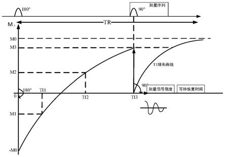 一种非均匀磁场下测量纵向弛豫时间的方法和设备与流程