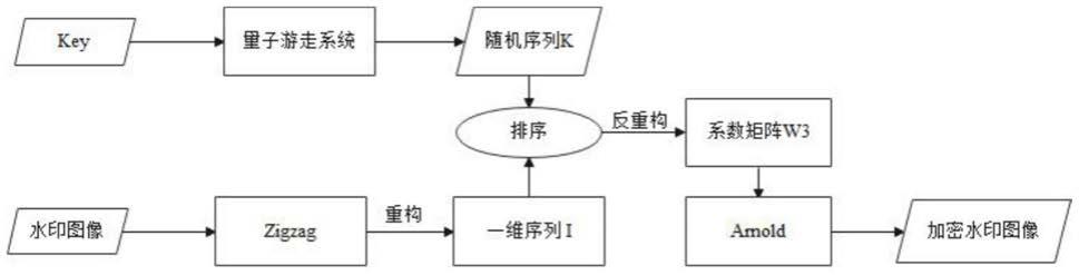 基于量子随机游走和离散小波变换的鲁棒图像水印方法