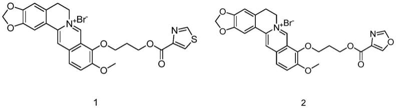 一种小檗碱衍生物及其制备方法和应用